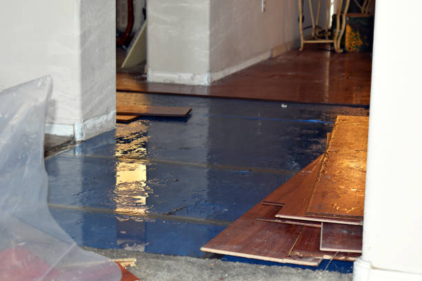 Professional Water Damage technician working in Helena, OH